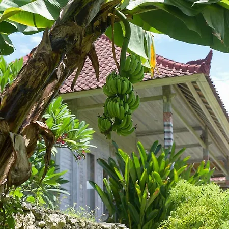 Mesari Hut Lembongan